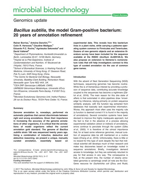 Bacillus subtilis, the model Gram‐positive bacterium: 20 years of .